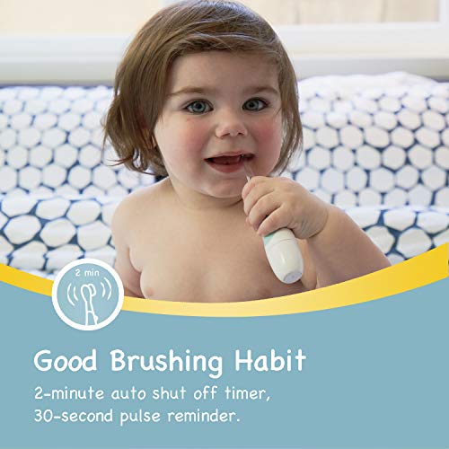 Papablic BabyHandy 2-Stage Baby Sonic Electric Toothbrush for Babies and Toddlers Ages 0-3 Years - Image 5