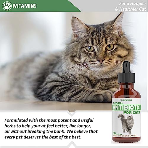 Natural Antibiotics for Cats | Cat Supplements | Cat Antibiotic | Cat Antibiotics | Cat Immune Support | Antibiotic for Cats | Cat Multivitamin | Multivitamin for Cats | 1 Pack: 30 Servings Total - Image 4