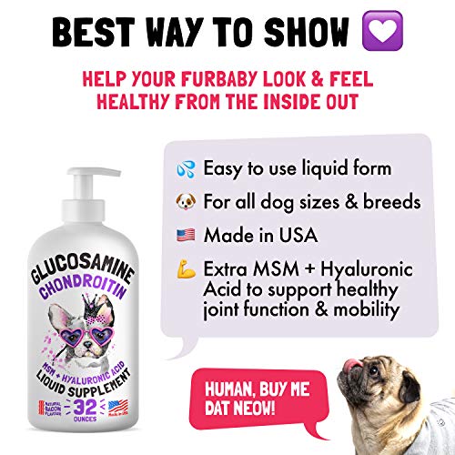 Liquid Glucosamine for Dogs Bacon Flavour with Chondroitin, MSM & Hyaluronic Acid K9 Supplement Hip and Joint Formula Advanced Mobility Joint Pain Relief Senior Advanced Supplement for All Breeds - Image 5
