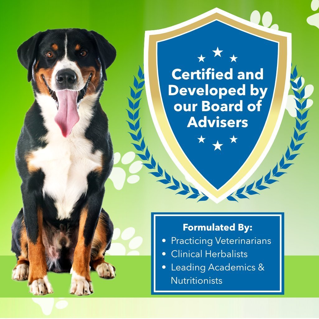 Pet Wellbeing Milk Thistle for Dogs & Cats - Supports Liver Health, Protects Liver - Glycerin-Based Natural Herbal Supplement - 4 oz (118 ml) - Image 2